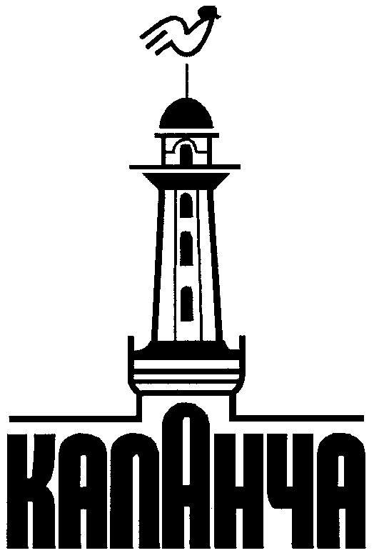 Проект Bizone